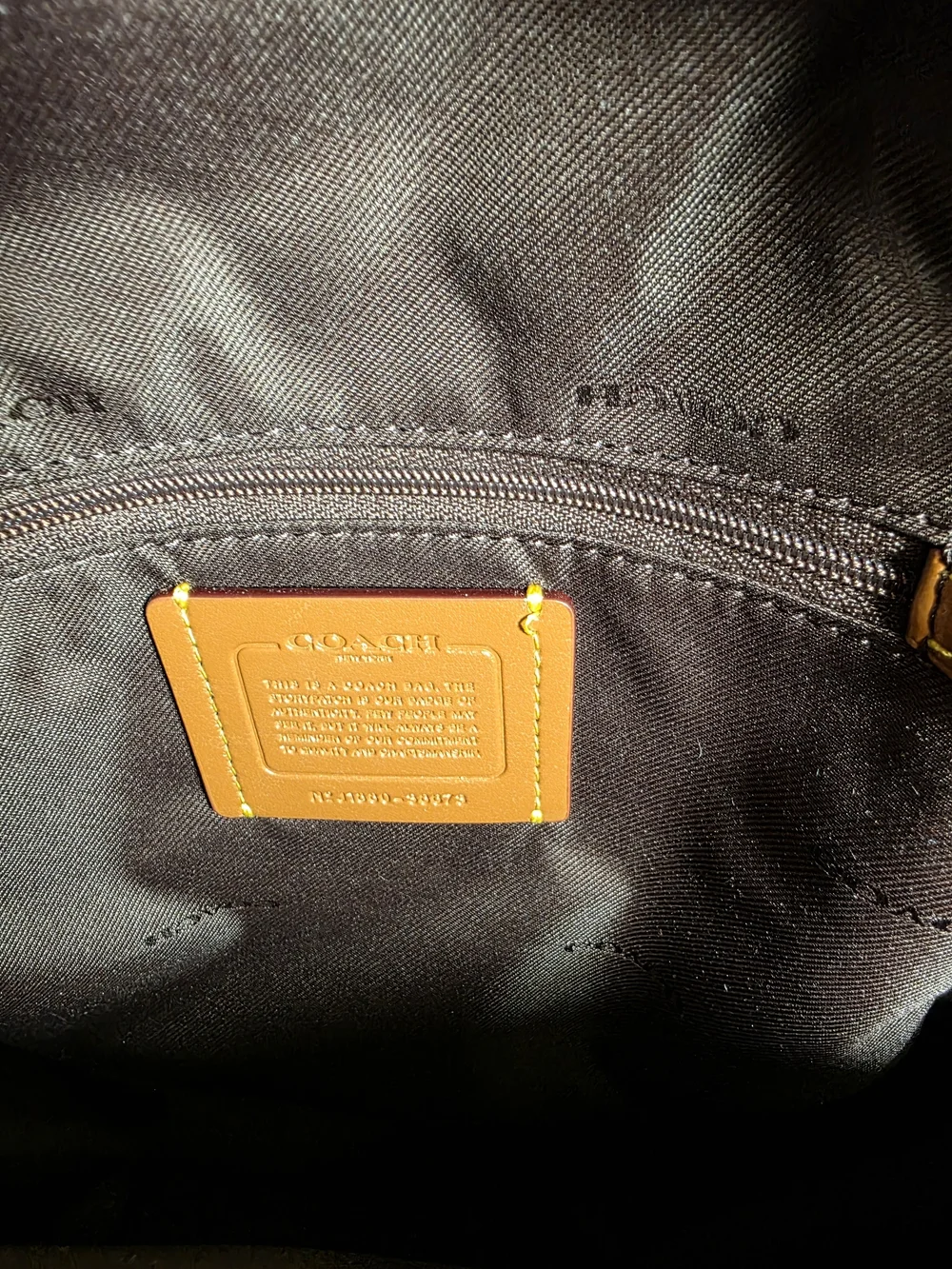 Coach Campus Backpack 23 Black Pebble Leather Gray Snakeskin Mini Backpack 2019